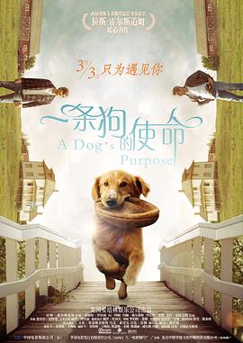 精品久久国产视频